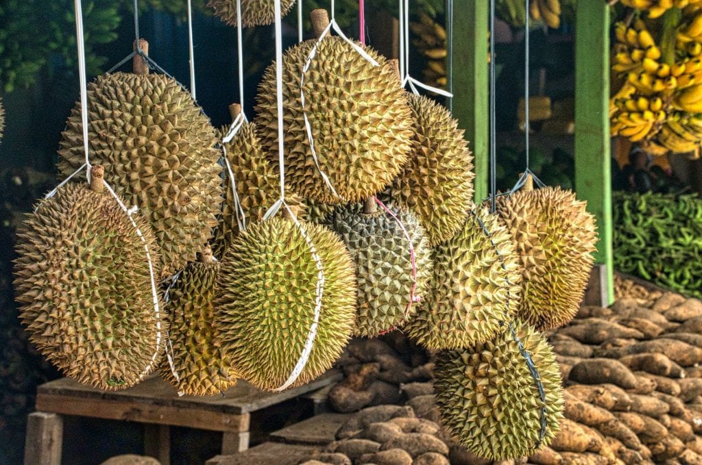 Суд в Малайзии приостановил рассмотрение дела о незаконном выращивании дуриана