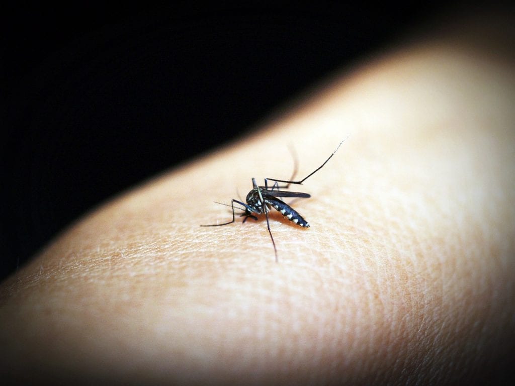 В Камбодже резко снизились показатели заболеваемости малярией