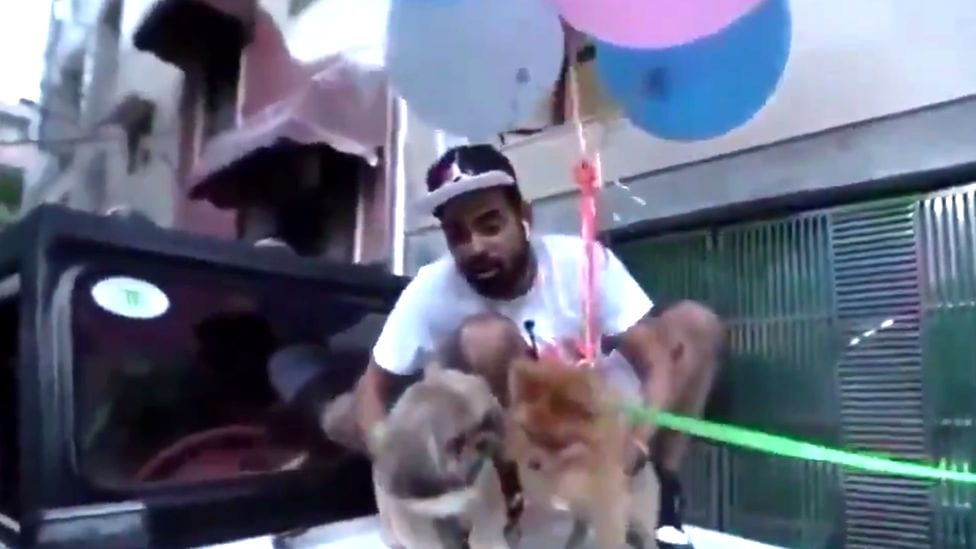 В Индии арестовали блогера за видео с летающей собакой