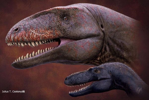 В Узбекистане нашли останки нового динозавра